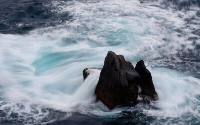 Sei glücklich – JETZT