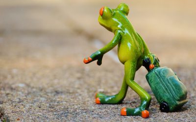 Ich packe meinen Klausurenkoffer und lege hinein….?