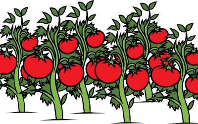 Wie du mit der Pomodoro-Technik effektiv und mühelos lernst