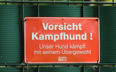 OLG Oldenburg zur Tierhalterhaftung