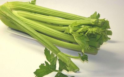 Cashewnüsse, Staudensellerie & Motivation fürs Studium